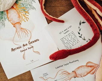 May include: A printable educational resource about colossal squids. The illustration shows a squid with tentacles and a mantle. The text reads "Across the Oceans Colossal Squids" and "If I were a bit Squidish..."