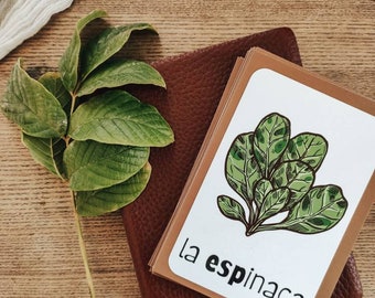 Spanish Food Flashcards | Digital Download, language learning, vocabulary, Montessori
