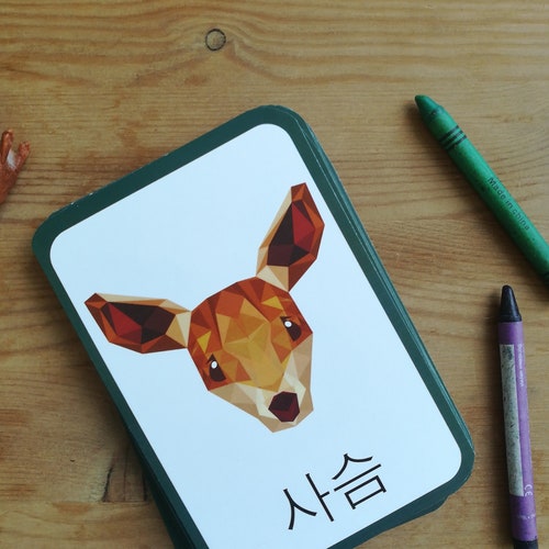 Korean Food Flashcards Digital Download Language School Etsy