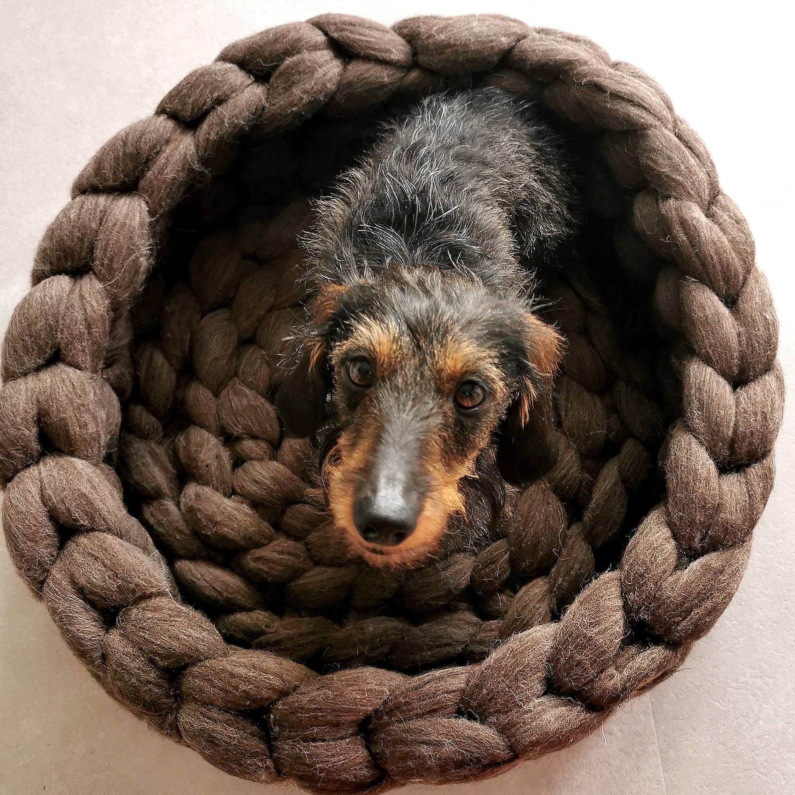 Dog Basket Cat Basket Made of Natural Fibers WASHABLE Pet Etsy
