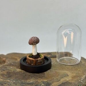 Mushroom Ornament - Miniature Mushrooms - Mushroom Cloche - Cottage Core Decor - Mushroom Gift - Dark Art Gifts - Goth Gifts