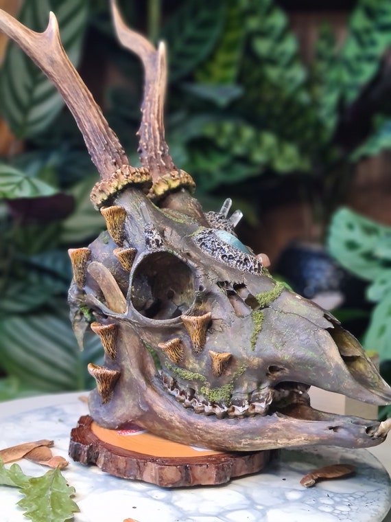 Artisan Roe Deer Skull Handsculpted Mushrooms Unique Taxidermy Art