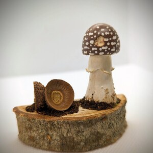 Hand gemeißelte Pilzverzierung - Pilz Geschenk - Amanita Dekoration - Geschenk für sie - Mykologie Kunst - Wohnkultur - Pilzverzierung