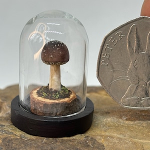 Mushroom Ornament - Miniature Mushrooms - Mushroom Cloche - Cottage Core Decor - Mushroom Gift - Dark Art Gifts - Goth Gifts