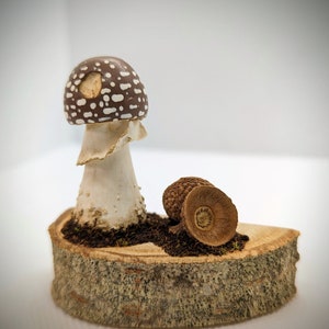 Hand Sculpted Mushroom Ornament - Mushroom Gift - Amanita Decoration - Gift For Her - Mycology Art - Home Decor - Fungi Ornament