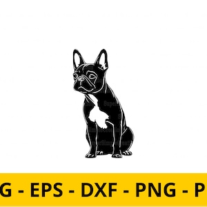 Französische Bulldogge svg png eps dxf pdf | süsse frenchie Clipart | Hundeliebhaber digitaler Download | T-Shirt & Sticker Design
