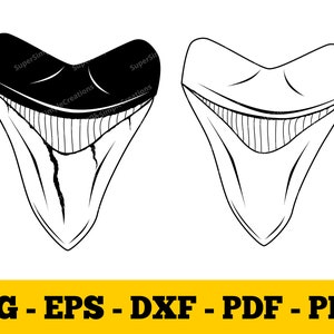 Megalodon Sharks Tooth | Clipart | Animal | White shark | Digital Download | T-shirt Design | Sticker | Wall Print | DIY | Laser|  svg jpg