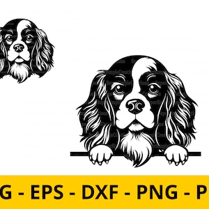 Cavalier King Charles Spaniel Peeking Dog Clipart Vector - mignon et heureux logo de race commerciale svg png eps dxf fichier de coupe Cricut