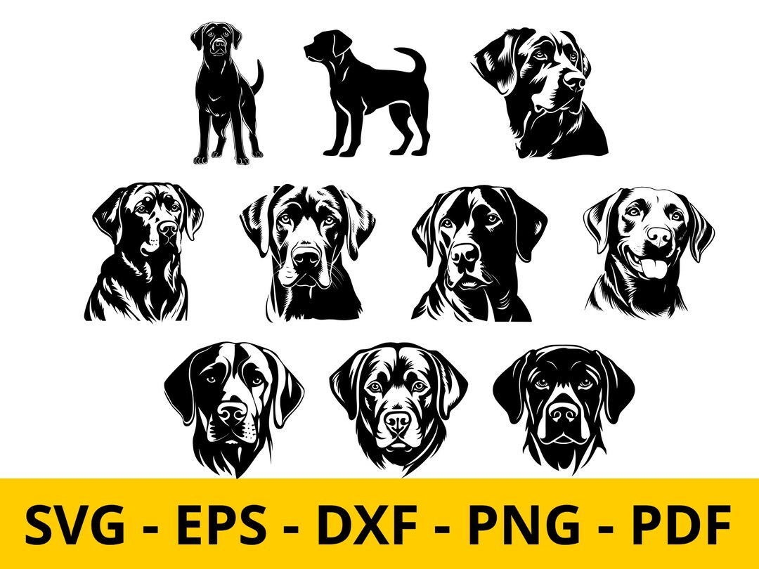 Labrador Retriever Svg Bundle Dog Breed K-9 Animal Canine Clipart ...