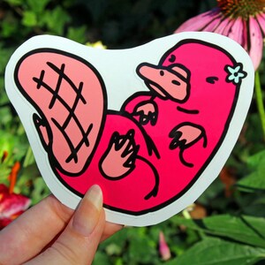 Pink Platypus Penelope Sticker Niedliche Tier Pink Aufkleber Aufkleber Laptop Bumper Sticker
