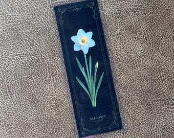 December Birth Flower Bookmark – Narcissus Laminated Botanical Bookmark