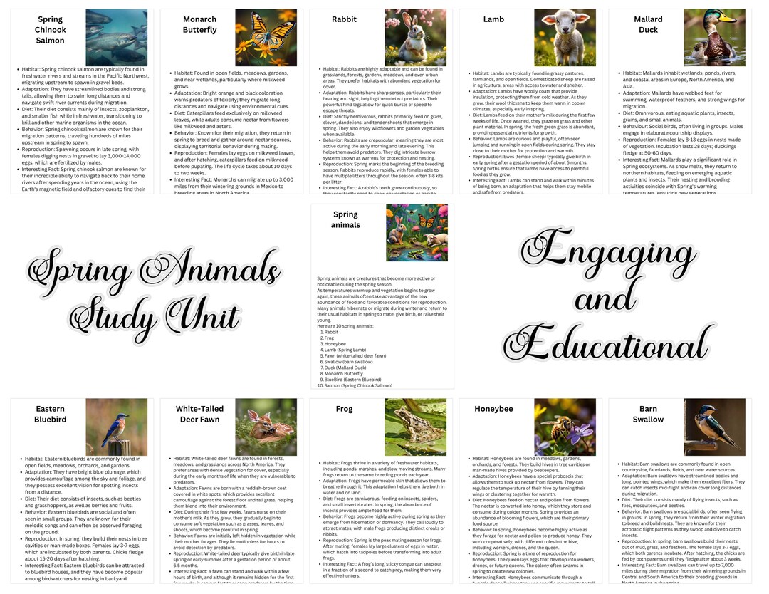 Spring Animals Lesson Spring Animals Study Unit, Printable Spring Animal Facts for Teachers ...