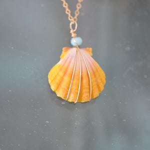 CUSTOM Sunrise Shell Necklaces