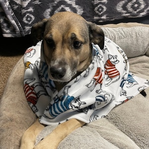 French Bulldog Blanket (Handmade)