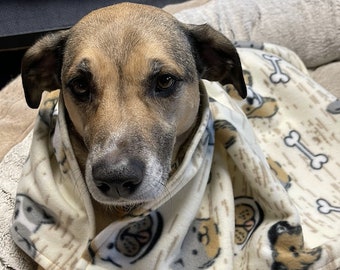 Handmade dogs/cat blanket