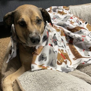 Organic Dog Blankets Etsy Canada