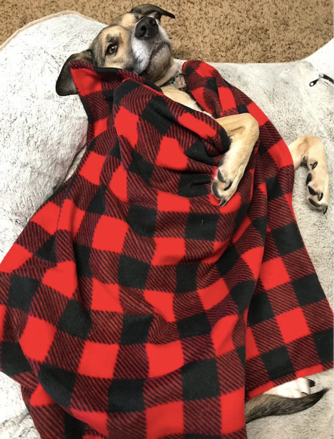Pet Blanket Etsy