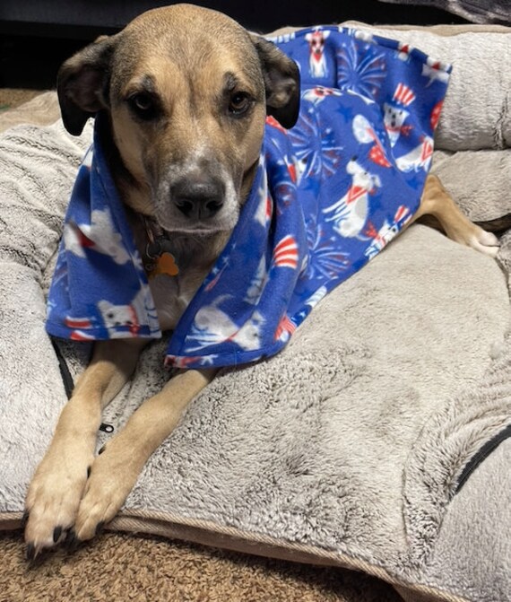 Etsy dog blanket new arrivals
