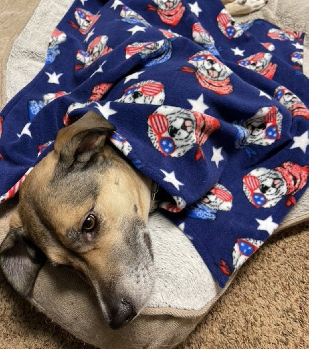 Handmade Pet Blanket Etsy