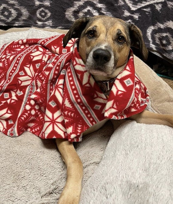 Buy dog blanket hot sale