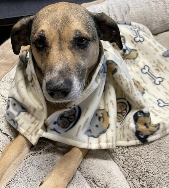 Handmade dogs/cat blanket