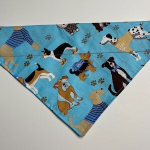 Handmade collar bandana for dogs and cats!