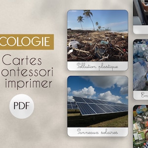 PDF DECHETS/ ECOLOGIE cartes nomenclature Montessori  à imprimer/ images classifiées / matériel éducatif / langage enfant