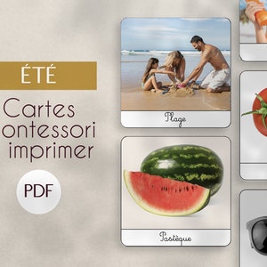 PDF été cartes nomenclature Montessori  à imprimer/ images classifiées / matériel éducatif / langage enfant