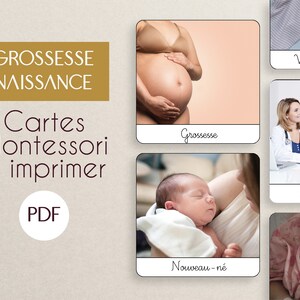 PDF Grossesse naissance cartes nomenclature Montessori à imprimer/ images classifiées / matériel éducatif / langage enfant /