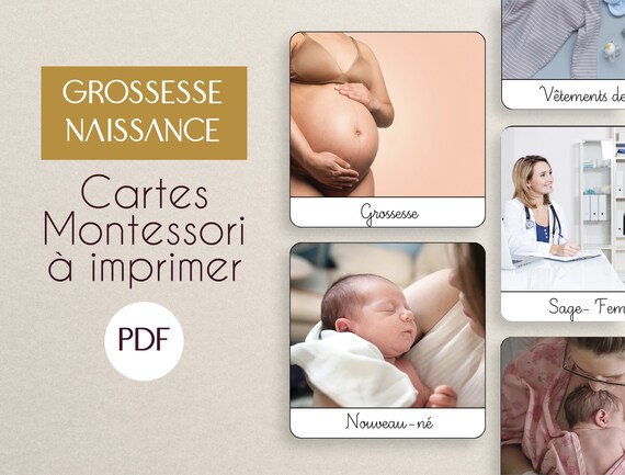 PDF Grossesse naissance cartes nomenclature Montessori à imprimer