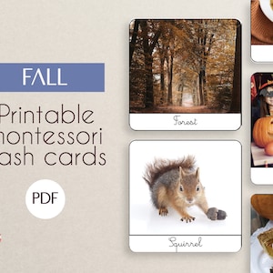 HERBST Montessori-Lernkarten / Druckbar / klassifizierte Bilder / Lehrmaterial / Sprachkind / Montessori-Karten / Jahreszeit