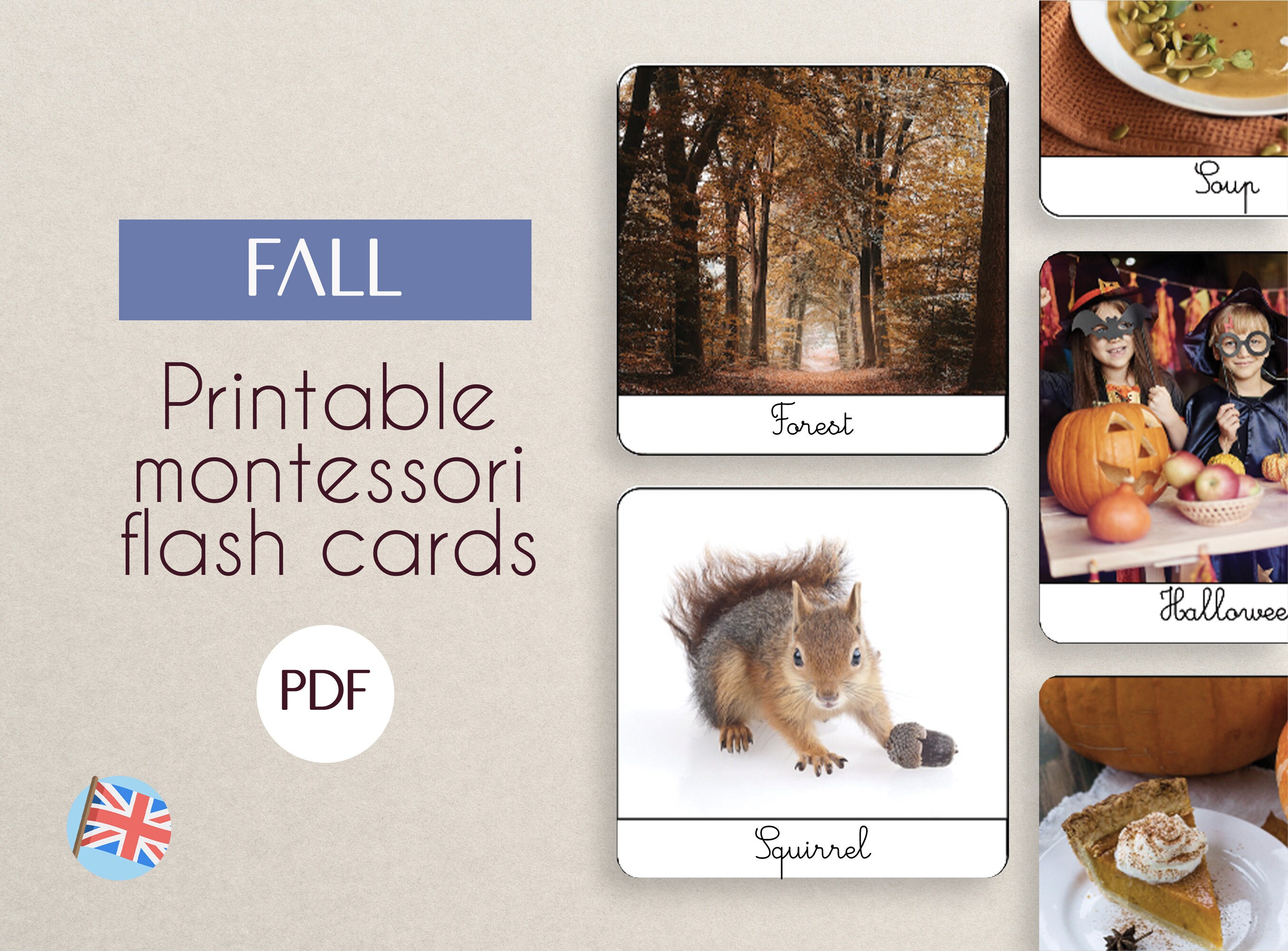 FALL Montessori Flash Cards / Printable / Classified Pictures ...