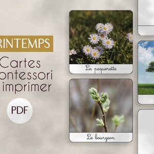 PDF PRINTEMPS cartes nomenclature Montessori  à imprimer/ images classifiées / matériel éducatif / langage enfant