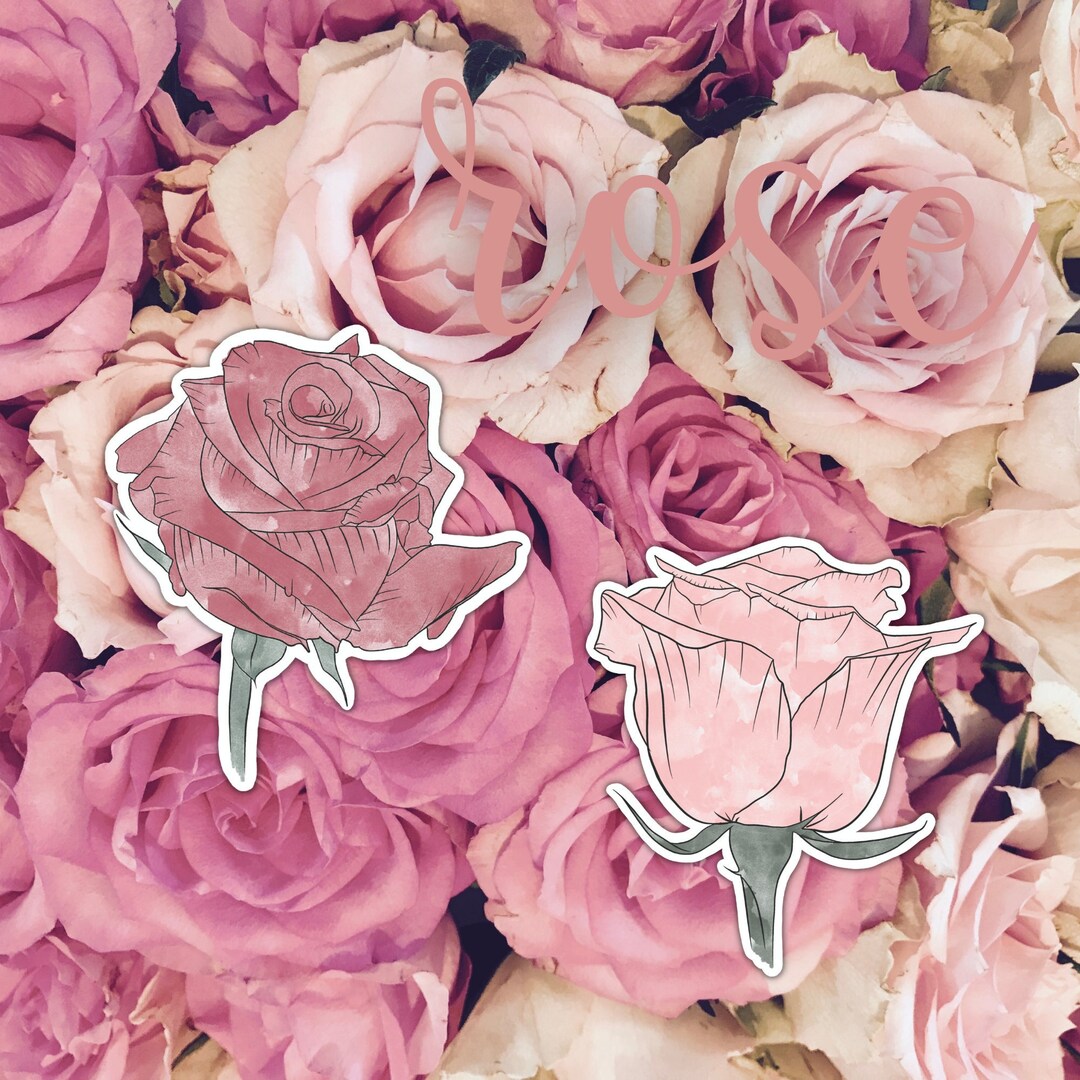 Rose Sticker, Flower Sticker - Etsy
