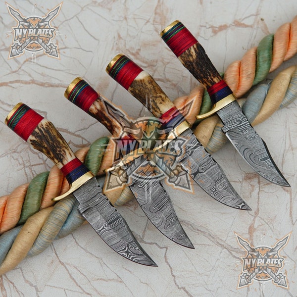 Custom Hand forged Damascus Steel Miniature Hunting camping boot knife +Stag/Antler Handle (Lot of 4 )