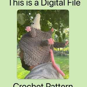 May include: A grey crochet possum hat with a white nose, pink ears, and a pink tail. The text "This is a Digital File" and "Crochet Pattern" are displayed on a green background.