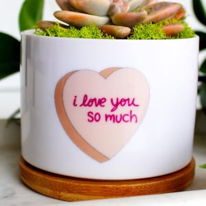 I Love You So Much Heart Planter - Austin Souvenir