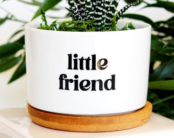 little friend | desk decor | desk accessory | thinking of you | succulent pot