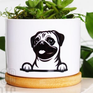 Peeking Pug | pug gifts | pug lover | pug mom | pug gift | gifts for pug lovers | pug owner | pug dog | pug dog lover gift | pug dog