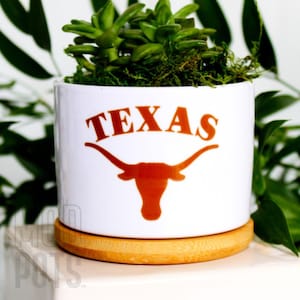 Texas with Longhorn | UT Austin | UT longhorns | UT alumni | gift for ut student | university of texas at Austin | university of texas