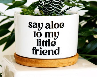 say aloe to my little friend | funny planter | plant pun | pun pot | aloe pot | small succulent pot | small plant pot