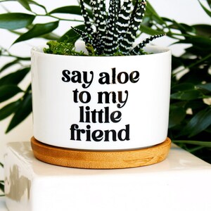 May include: White ceramic planter with a bamboo base, featuring a small green succulent plant and the text "say aloe to my little friend".