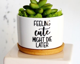 feeling cute might die later | funny planter | pun pots | small succulent pot | small plant pot | funny pot