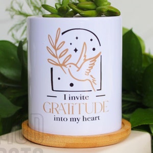 Gratitude Dove Mini Planter with Wood Tray