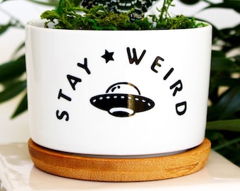 Stay weird | funny planter | space cadet | you do you | small planter | succulent planter | succulent pot | gift for her | cute and quirky