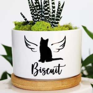 May include: White ceramic planter with a black cat silhouette with wings and the name "Biscuit" written below. The planter has a wooden base and is filled with green moss and a small succulent plant.