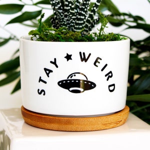 Stay weird | funny planter | space cadet | you do you | small planter | succulent planter | succulent pot | gift for her | cute and quirky