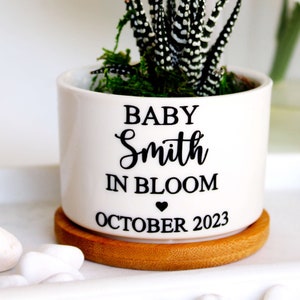 May include: White ceramic planter with a black and white striped succulent plant. The planter has the text "Baby Smith in Bloom October 2023" on it.