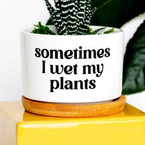 May include: White ceramic planter with the text "sometimes I wet my plants" in black lettering. The planter is sitting on a wooden coaster and a yellow square base. A small succulent plant is growing in the planter.