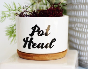 pot head, funny planter, succulent planter